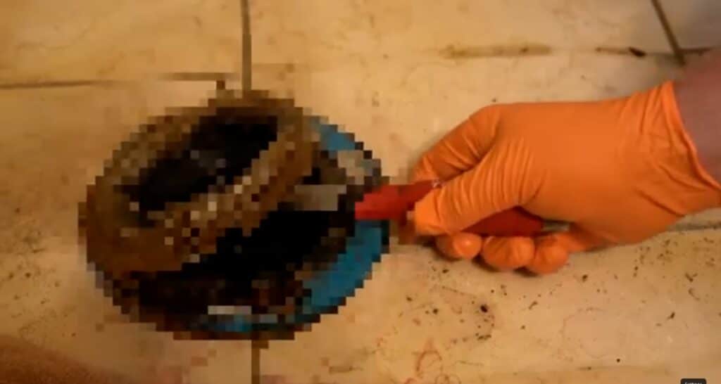Repair person deciding wheter to fix a toilet or replace it.