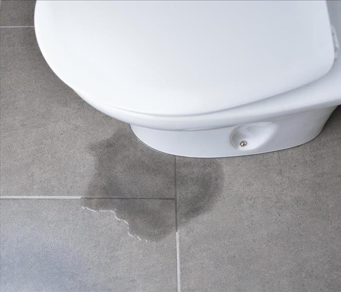 Image of leaking toilet.